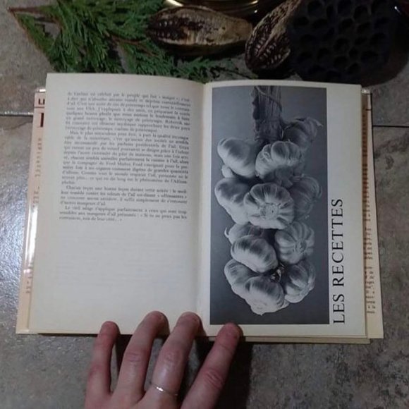 Vintage Book, L'Incroyable Histoire de L'Ail, Recipes Book - Picture 5 of 8